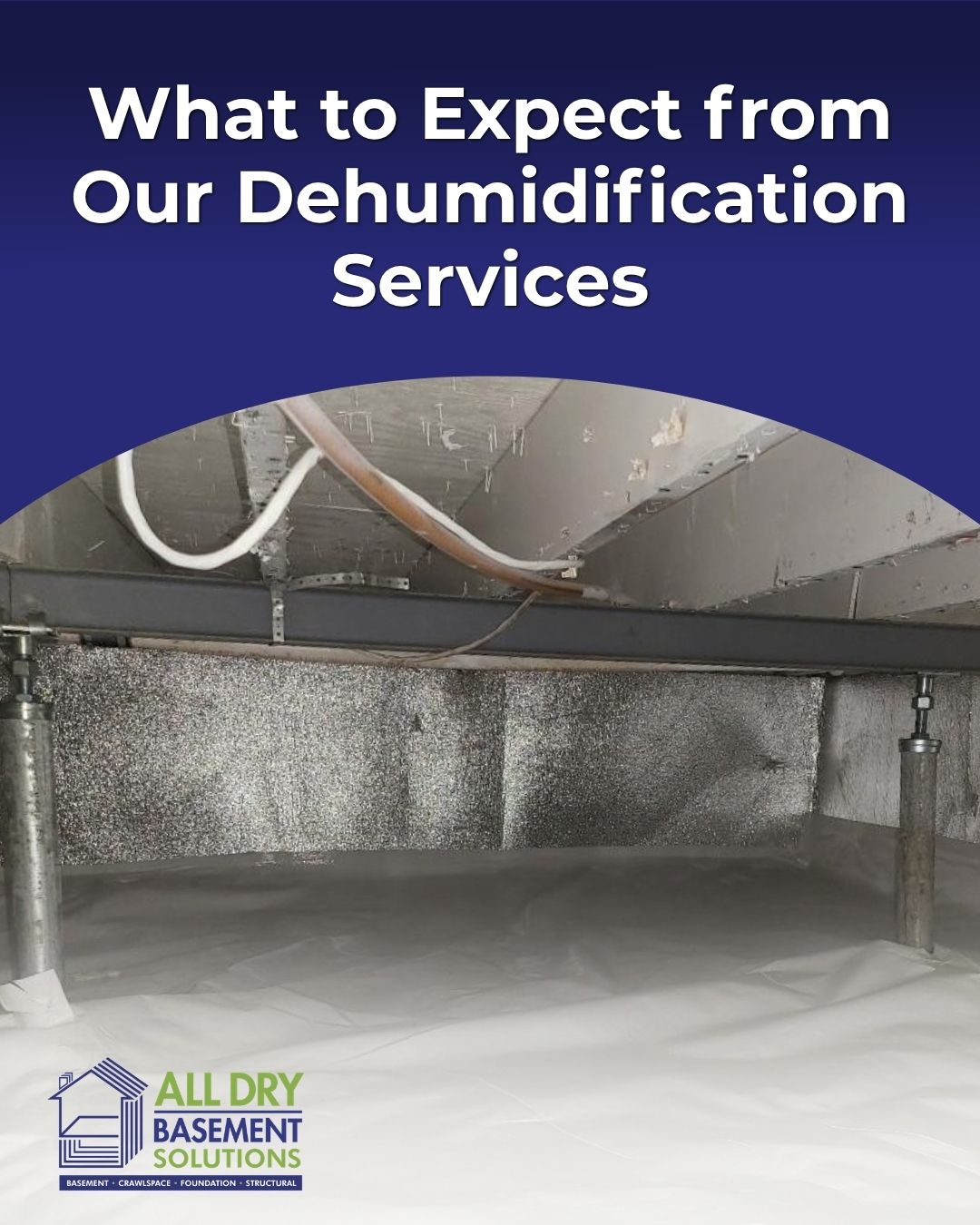 What to Expect from Our Dehumidification Services
